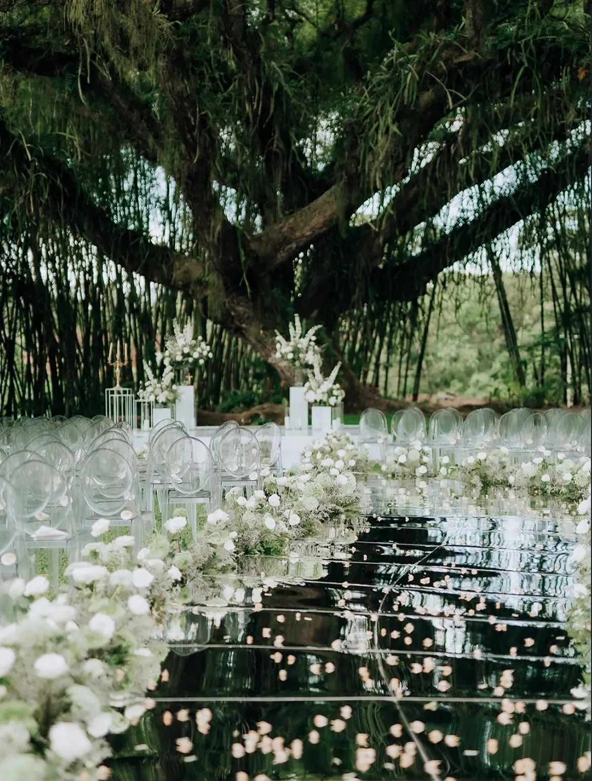 Pasillo de ceremonia con flores blancas bajo un árbol